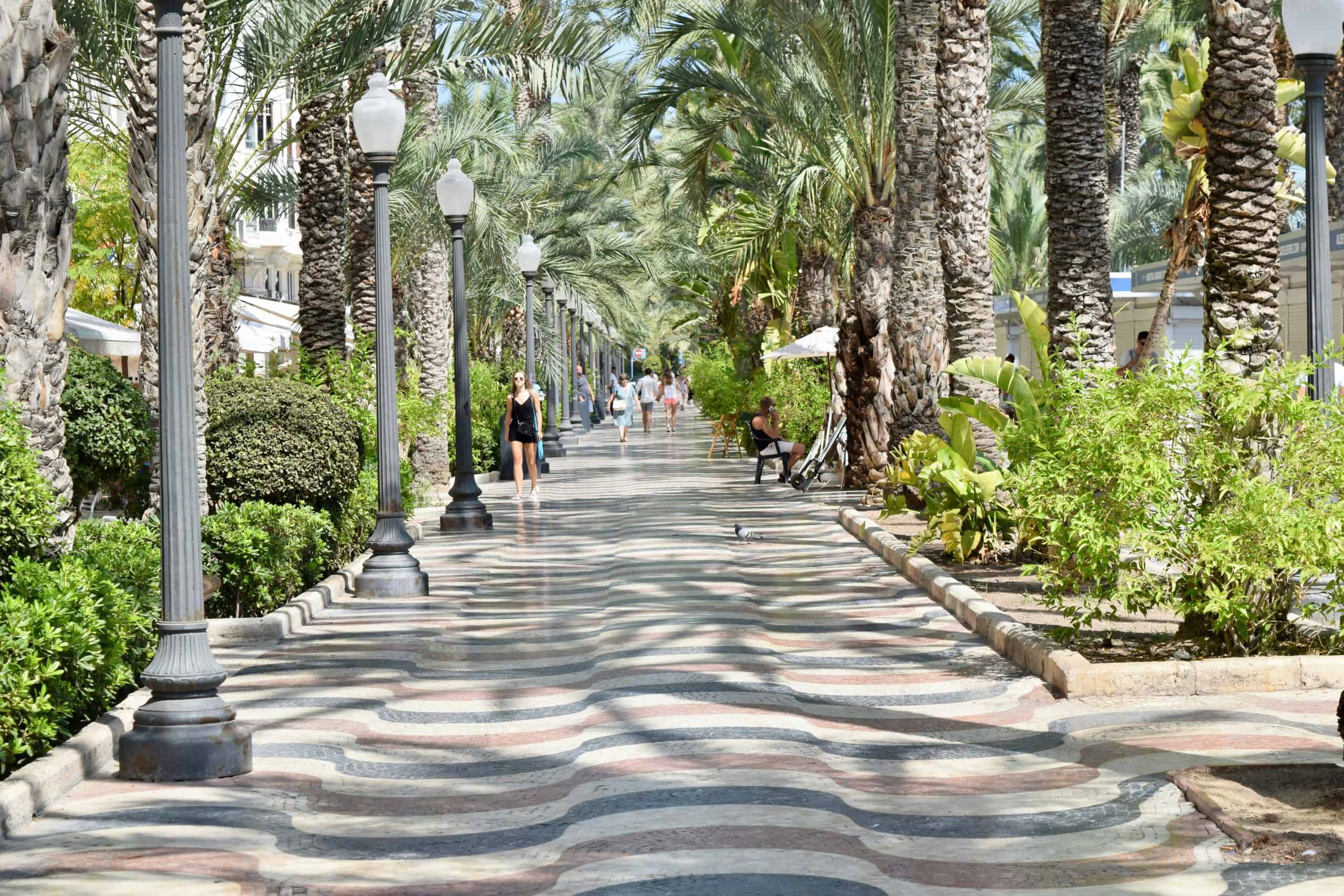 Explanada de España promenade i Alicante sentrum med bølgemønster i marmor og palmer