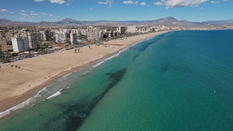 San Juan strand i Alicante med lang sandstrand, blått hav og palmepromenade